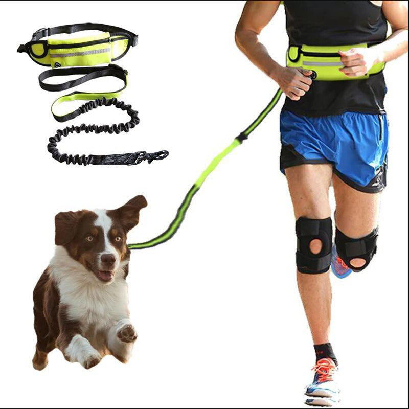 Handsfree koppel med bälte